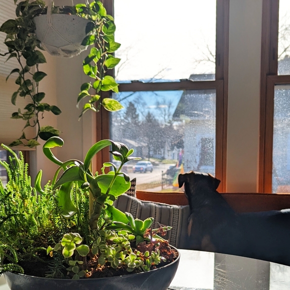 Meet your Posher, Emily - Picture 2 of 2